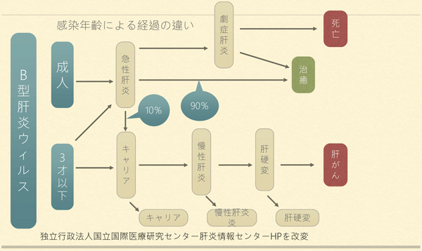 B型肝炎ワクチンはB型肝炎ウィルスが引き起こす様々な病気を予防します
